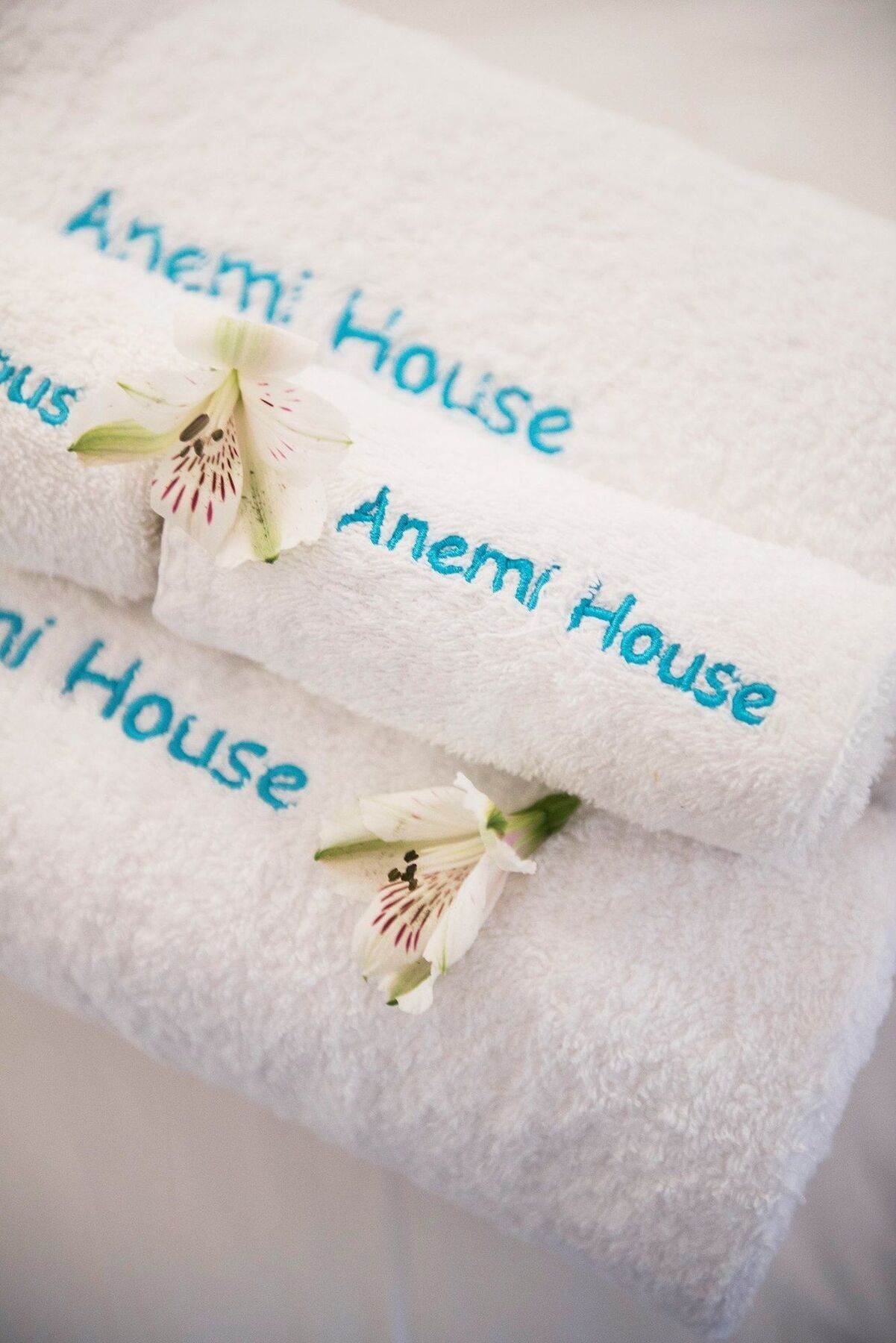 Anemi House & Villas Oía Dış mekan fotoğraf